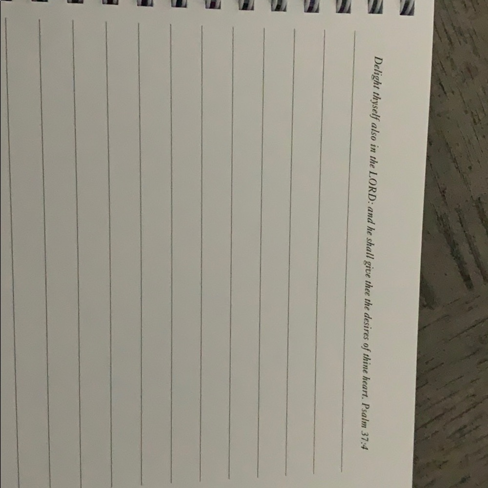 Barack and Michelle Obama Journal - Picture 6 of 7